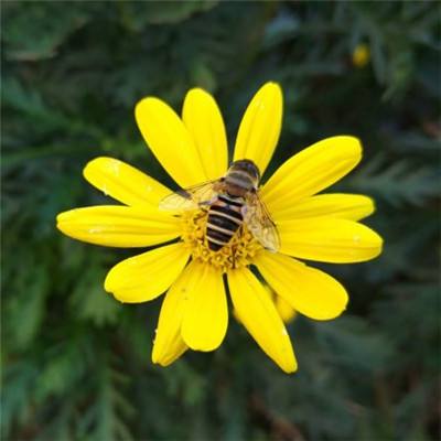 搬进新家园 生活节节高（雪域欢歌70载·西藏启航新时代）