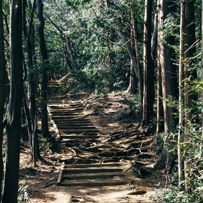 日本铁路公司首次在全国试运行新一代生物柴油燃料列车