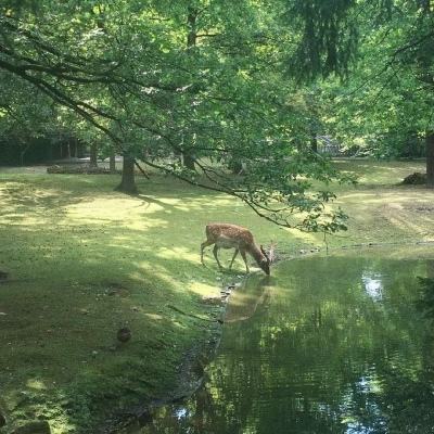 “避暑胜地·畅爽龙江”2016黑龙江夏季旅游产品推介会