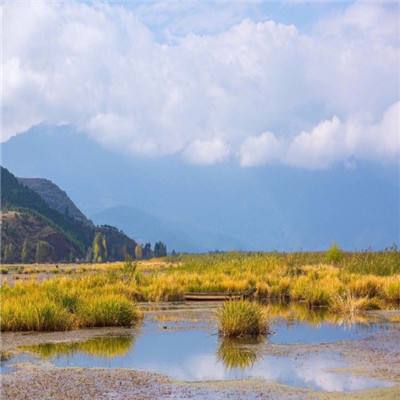 9月15日 上海虹口部分道路临时交通管制