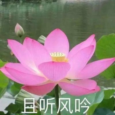 湖北省委巡视组原副厅级巡视专员黄金星接受纪律审查和监察调查