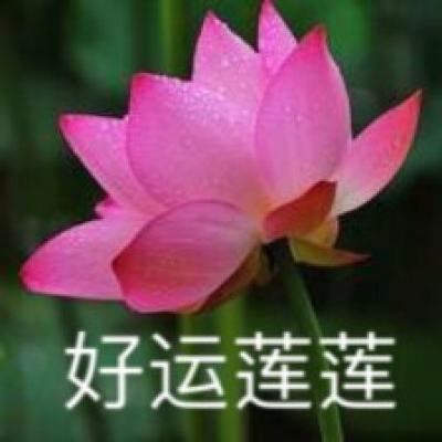 内蒙古森林工业集团有限责任公司市场化选聘中层领导人员简章