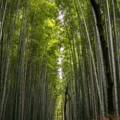 丰收中国生机勃勃——写在第七个“中国农民丰收节”到来之际